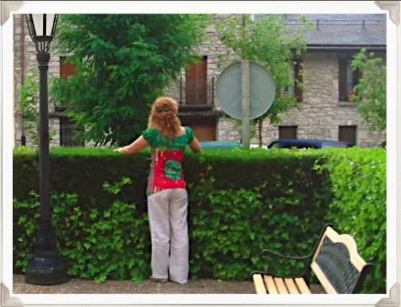 Hotell Arruebo Panticosa